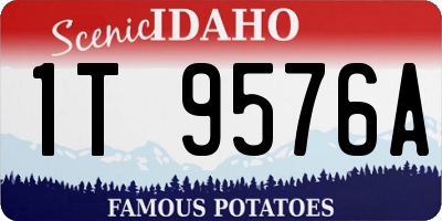 ID license plate 1T9576A