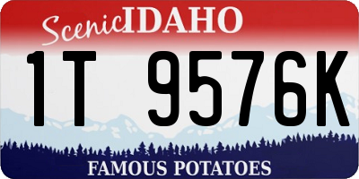 ID license plate 1T9576K