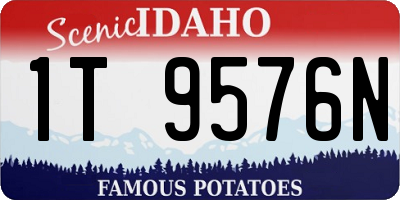 ID license plate 1T9576N