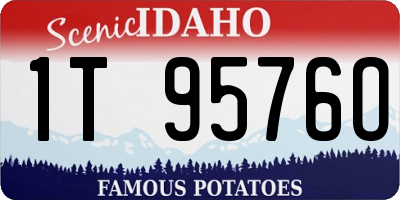 ID license plate 1T9576O
