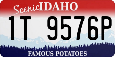 ID license plate 1T9576P