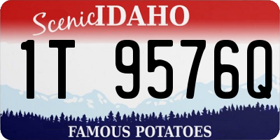 ID license plate 1T9576Q