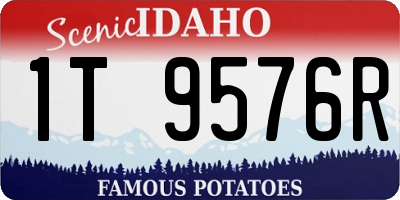 ID license plate 1T9576R