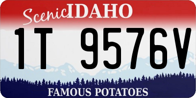 ID license plate 1T9576V