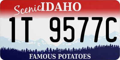 ID license plate 1T9577C