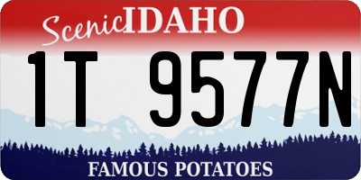 ID license plate 1T9577N
