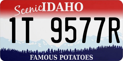 ID license plate 1T9577R