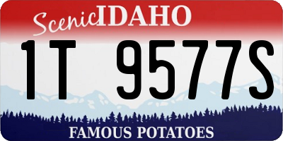 ID license plate 1T9577S