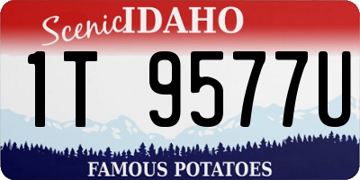 ID license plate 1T9577U