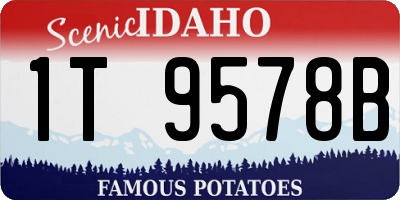ID license plate 1T9578B