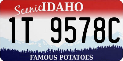 ID license plate 1T9578C