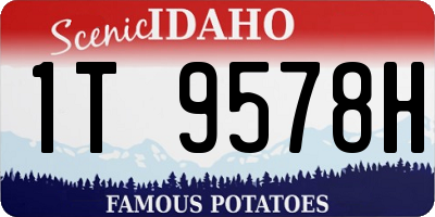 ID license plate 1T9578H