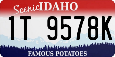 ID license plate 1T9578K