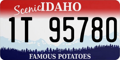 ID license plate 1T9578O