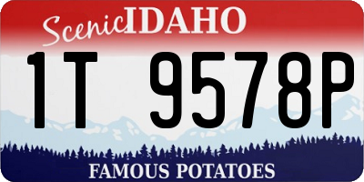 ID license plate 1T9578P