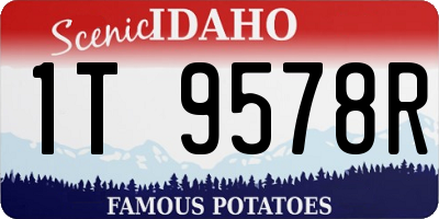 ID license plate 1T9578R