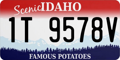 ID license plate 1T9578V
