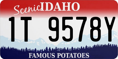 ID license plate 1T9578Y