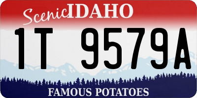 ID license plate 1T9579A