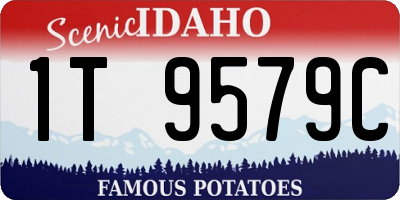 ID license plate 1T9579C