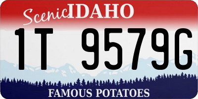 ID license plate 1T9579G
