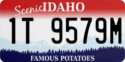 ID license plate 1T9579M
