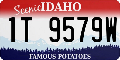 ID license plate 1T9579W