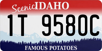 ID license plate 1T9580C