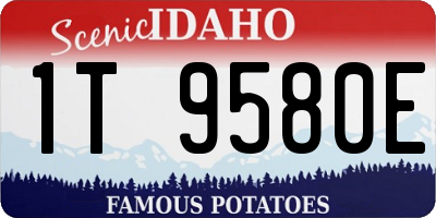ID license plate 1T9580E
