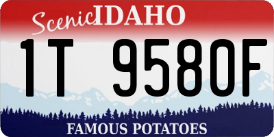 ID license plate 1T9580F