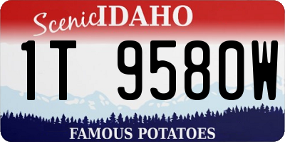 ID license plate 1T9580W