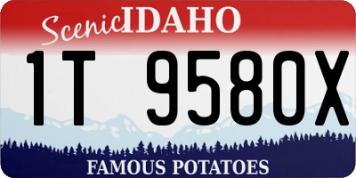 ID license plate 1T9580X