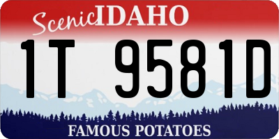 ID license plate 1T9581D