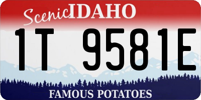 ID license plate 1T9581E