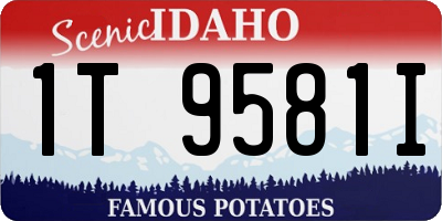 ID license plate 1T9581I