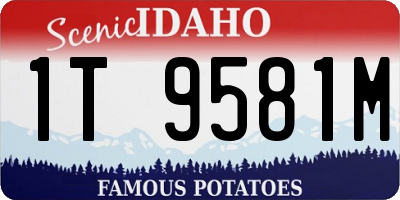 ID license plate 1T9581M