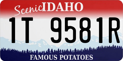 ID license plate 1T9581R