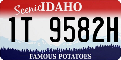 ID license plate 1T9582H