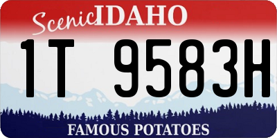 ID license plate 1T9583H
