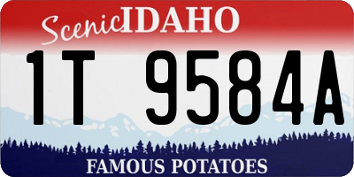 ID license plate 1T9584A