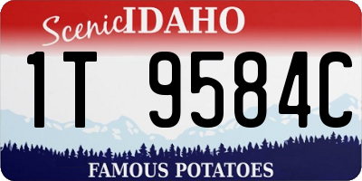 ID license plate 1T9584C