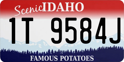 ID license plate 1T9584J