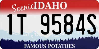 ID license plate 1T9584S