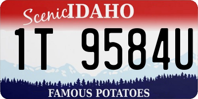 ID license plate 1T9584U