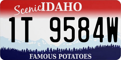 ID license plate 1T9584W