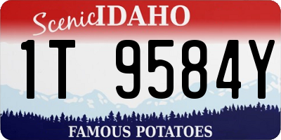 ID license plate 1T9584Y