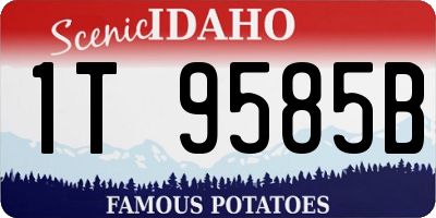 ID license plate 1T9585B