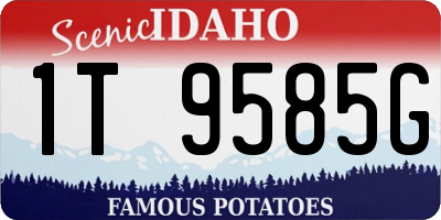 ID license plate 1T9585G