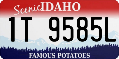 ID license plate 1T9585L