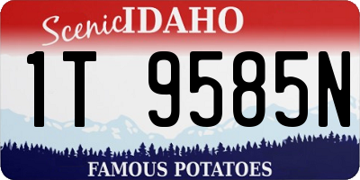 ID license plate 1T9585N